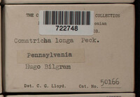 Image Associated With the Occurence